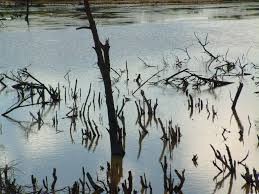 It is the birthplace of the dominican heroines, the. Pepillo Salcedo Dominican Republic Mapio Net