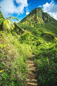 Tripadvisor has 21,276 reviews of dominica hotels, attractions, and restaurants making it your best dominica resource. Dominica 11 Fakten Uber Dominica Die Sie Uberraschen Werden