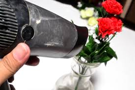 You don't have to worry about them becoming too dry and crumbling before the day of the party. 3 Ways To Clean Silk Flowers Wikihow