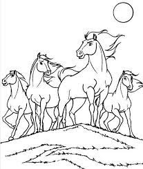 Horses Paginas Para Colorear De Animales Caballo Para Colorear Dibujos De Caballos