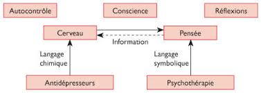 Lorsque vous vous mettez à fumer, la nicotine atteint le cerveau seulement 10 secondes après la première inhalation et en fumant régulièrement, vous augmentez la probabilité que la carotide et les artères qui mènent au cerveau soient bouchées à cause des effets. Neurosciences Et Rapport Pensee Cerveau A Propos Des Traitements De La Depression