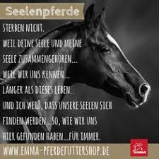Die 106 Besten Bilder Von Sprüche Pferd In 2018 Pferde Zitate