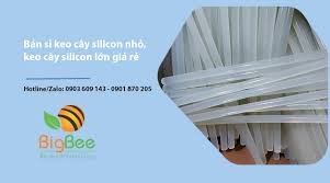 Bán sỉ keo cây silicon nhỏ, keo cây silicon lớn giá rẻ