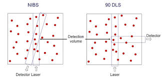 Image result for DLS Direct