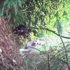 Ron King Joyandronking - Profile Pinterest