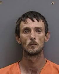 Tampa Bay Mugshots -...