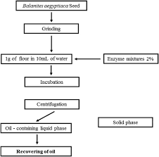 Image result for Balanites pedicellaris