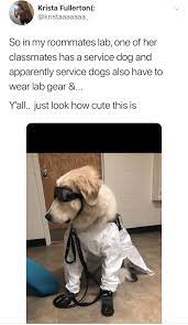 Hilarious Memes For Those Sick Of Watching Paint Dry 44 Memes And Tweets Cute Baby Animals Cute Animals Cute Funny Animals