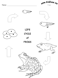Frog Life Cycle With Images Life Cycles Frog Life Science Life Cycles
