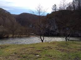 We did not find results for: Suncuius Pe Cris Off Camping Prezentari Locatii Off Camping Forum Rulote Ro