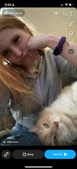 If anyone has seen this cat please contact at 5674536888 we really want him  back home