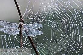 We did not find results for: Kata Kata Cantik Yang Akan Membuat Anda Jatuh Cinta Dengan Bahasa Spanyol 2021