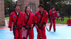 Martial Arts Hapkido College Of Australia Eagles Burwood Park Demonstration Youtube Martial Arts Hapkido Martial