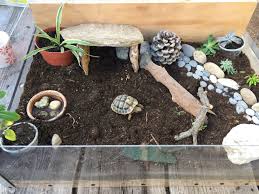 Terrarium Tortue Terrestre Schildkroten Terrarium Schildkrotengehege Schildkrote Gehege