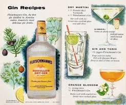 Gin Recipes Old Fleischmann S Recipe Book Gin Recipes Dry Martini Recipe Gin