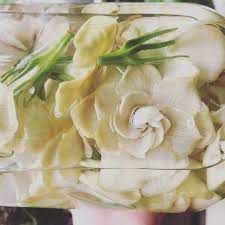 When I Go Out Of Town I Put My Flowers That Would Otherwise Be Enfleuraged In Alcohol This Tincture Had Garde Tropical Perfume Natural Perfume Sweet And Salty