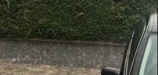 (landschaftlich) in der nacht auf, zu gestern. Unwetter Uberflutet Keller Und Knickt Baume Um Top Online