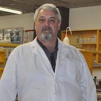 Image result for Struthiola scaettae