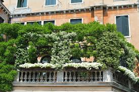 Sichtschutz balkon seitlich sichtschutz pflanzen balkon balkon. Balkon Sichtschutz Ideen Balkon De Liefert Profi Tipps