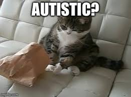 What is normal behavior of cats? Autistic Cat Memes Gifs Imgflip
