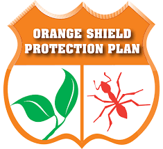 Brandon pest control is the leading home pest protection service company in northeast florida. Jacksonville Pest Control Lawn Care Services Orange Environmental