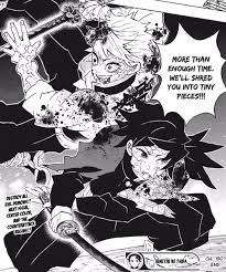 Himejima is blind, but if he can see into the transparent world he might have. Thread By Sahnemis The Way That Sanemi S And Giyuu S Panels Have Almost Always Been Right