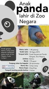 Infografik Harian Metro