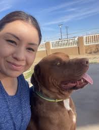 Has anyone seen a lost neutered 10-year-old dog?