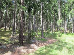 The support is also handled by the. Cz Brdy Basic Information And Description Of The Area En Infoglobe Cz