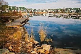 Save big with exclusive rates Sylvan Lake Insurance Action Insurance Group