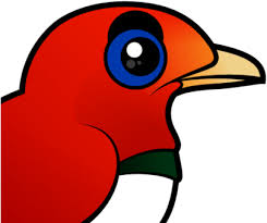 Maybe you would like to learn more about one of these? About The King Bird Of Paradise King Bird Of Paradise Full Size Png Download Seekpng