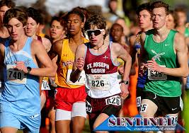 The Sentinel: Search results for Collin Graven