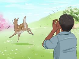 Natural deer deterrent natural deer deterrent, living, loving & gardening with deer. 3 Ways To Keep Deer Out Of A Garden Wikihow