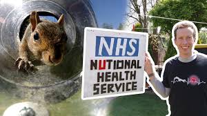 We did not find results for: Squirrel S Sinking Feeling As Ipswich Gardener Thwarts Food Theft Bbc News