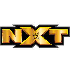 Nxt 2011 Wwe Arena Custom Logo Custom Logos Arizona Logo Logos
