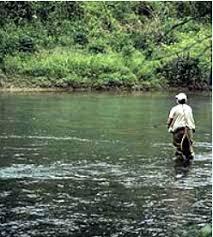Whether you choose the soque river, lake rabun, or the chattahoochee river for your excursion, you'll find that our backcountry tailwaters flow cold in every season. Blue Ridge North Georgia Trout Fishing North Georgia Real Estate