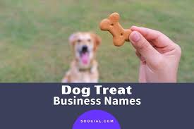 Maybe you would like to learn more about one of these? 293 Catchy Dog Treat Business Name Ideas Soocial