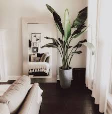 Indoor Plants In Living Room Modern In 2020 Living Room Modern Home Decor Bedroom Living Room Plants