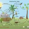 Prentice hall brief review the living environment 2020 pg 45 slader. 1