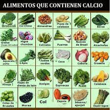 Alimentos Que Contienen Calcio Aulaga Educacion Ambiental Y Ecologia Social