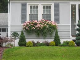 This combination can tolerate full to part sun. How To Plant A Rockin Window Box The Impatient Gardener
