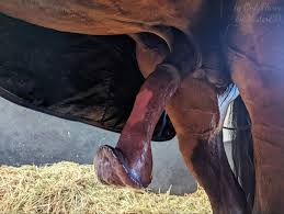 JDonk on X: t.coxfYw4DvSRf  X