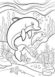 Download and print one of our dolphin coloring pages to keep little hands occupied at home; Free Easy To Print Dolphin Coloring Pages Tulamama