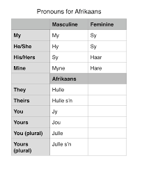 pronouns voornaamwoorde quick reload learning