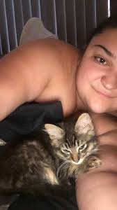 Lost cat in Toowoomba, has anyone found her?