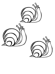 Use this lesson in your classroom, homeschooling curriculum or just as a fun kids activity that you as a parent can do with your child. 3 Snails Coloring Page 1001coloring Com
