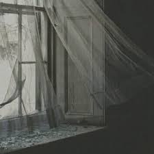22 | she/her | bi🏳️‍ | just a little ghost roaming tumblr. Safe Harbour A Roleplay On Rpg