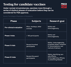 This phase will assess the safety, side effects, appropriate dosage, method of administration and composition of the vaccine. How A Coronavirus Vaccine Will Get To Market Pbs Newshour