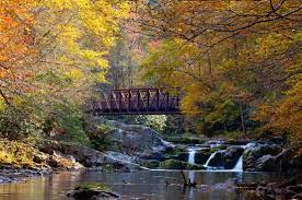 Maybe you would like to learn more about one of these? Campgrounds Near Virginia Creeper Trail V1 Lenze Com Tr