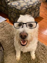 Anderson Perry Insurance